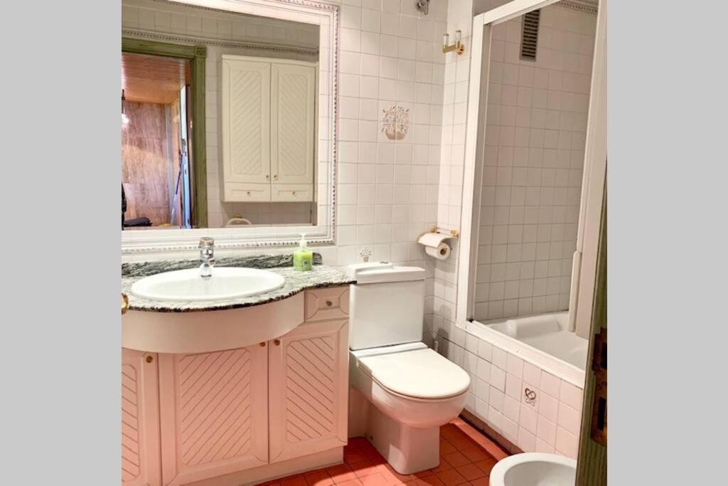 Atico En Biescas Con Piscina, Chimenea Y Garaje Apartment Luaran gambar